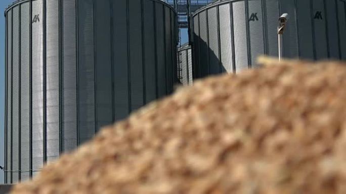 筒仓储藏农业，小麦在手