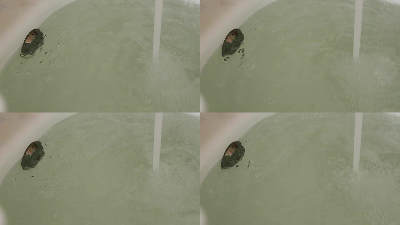 强烈的水流涌入浴缸。特写。