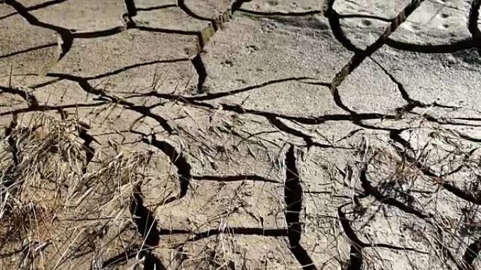 干旱的土地，由于干旱，气候变化和干旱而开裂的土壤，