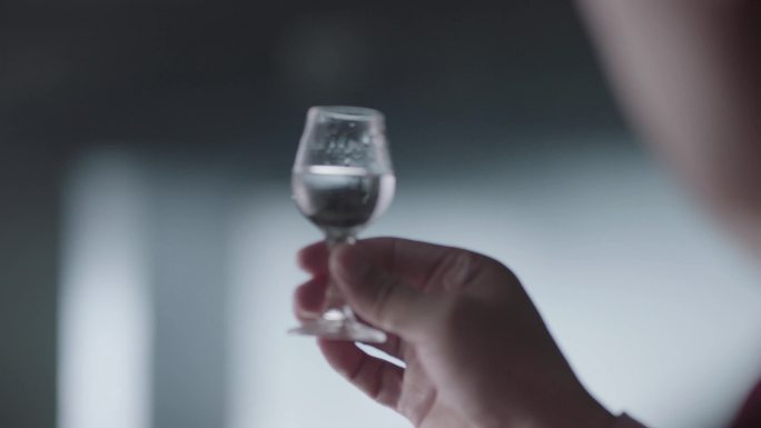 白酒文化 广告视频 品酒