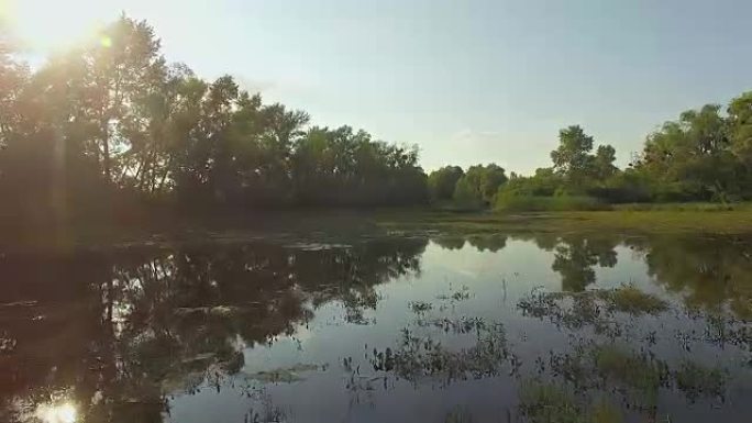 杂草丛生的池塘鸟瞰图，4K