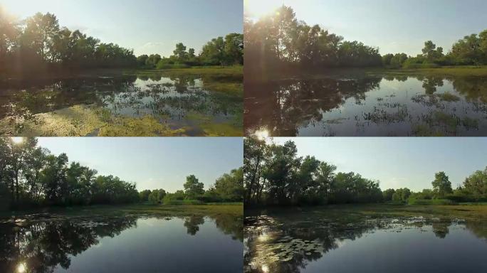 杂草丛生的池塘鸟瞰图，4K