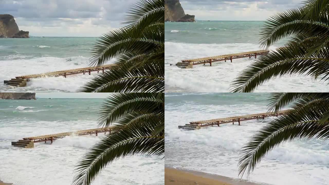 透过棕榈树，绿叶关闭，海浪在码头上破裂