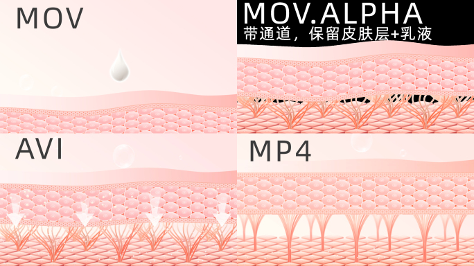 皮肤胶原蛋白抗老抗衰细胞修复