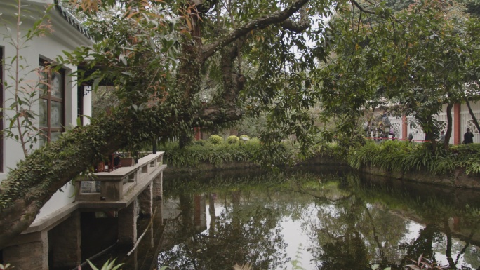 6K苏州园林池塘水塘中式庭院古风亭子建筑