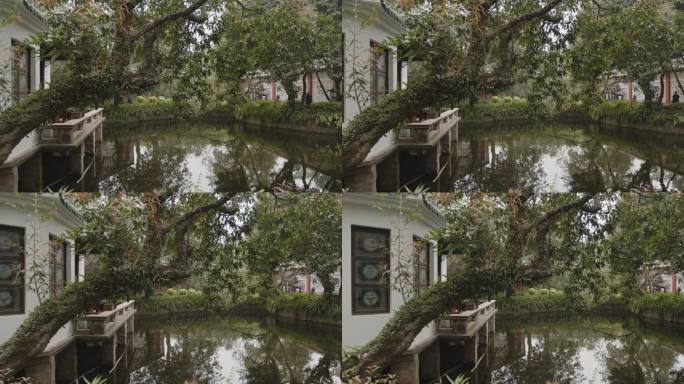 6K苏州园林池塘水塘中式庭院古风亭子建筑