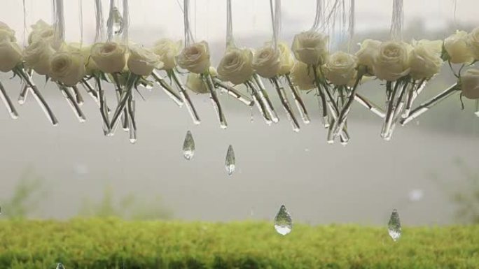 雨中白玫瑰和水晶的特写镜头。