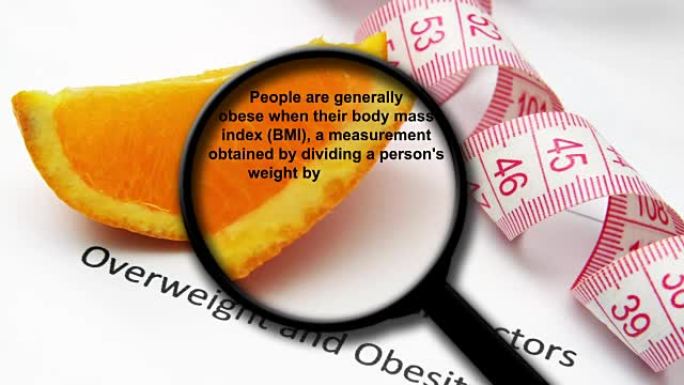 关于肥胖概念的放大镜