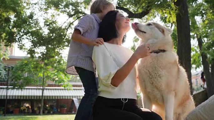 猎犬在慢动作中舔脸女人，妈妈带着儿子和哈士奇在公园休息