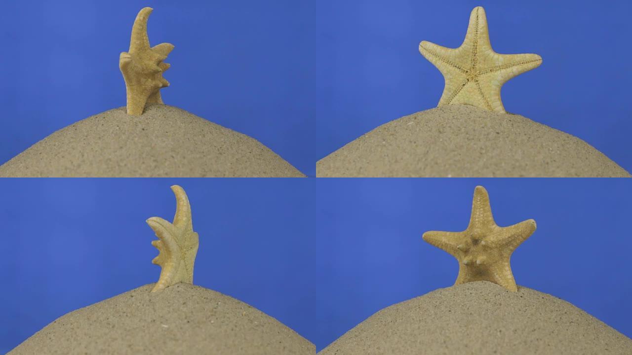 旋转，黄色美丽的海星站在一堆沙子上。孤立，蓝屏