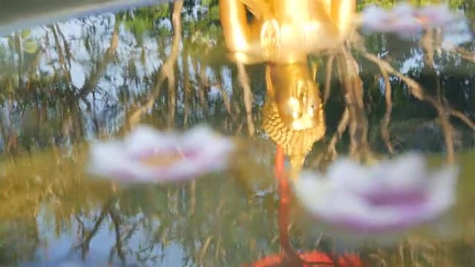 水中佛像的美丽金色倒影，上面漂浮着各种莲花形式的蜡蜡烛