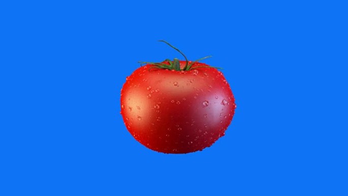 蓝色背景3D渲染水滴中的番茄