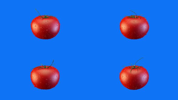 蓝色背景3D渲染水滴中的番茄