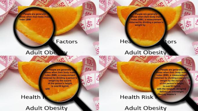 关于肥胖概念的放大镜
