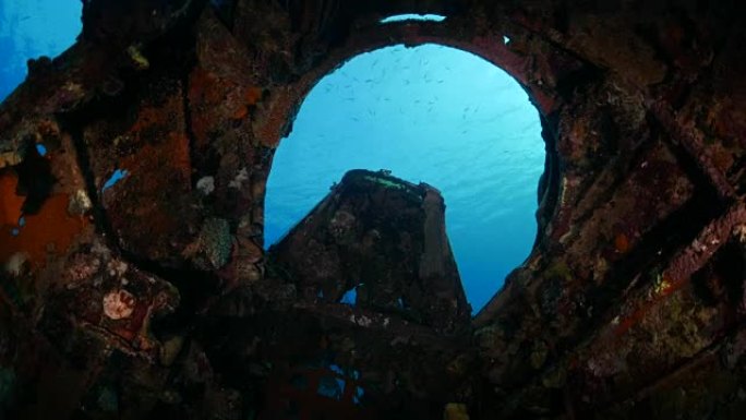 第二次世界大战水下水上飞机残骸的腐蚀驾驶舱