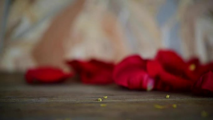 Red rose flower on wooden floor in Valentine's Day