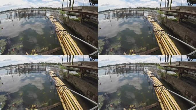 竹筏漂浮在污染的湖上