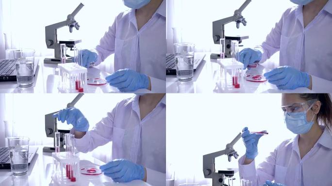 在现代实验室中研究血液，女性在橡胶手套和眼镜中与试管和试剂一起工作