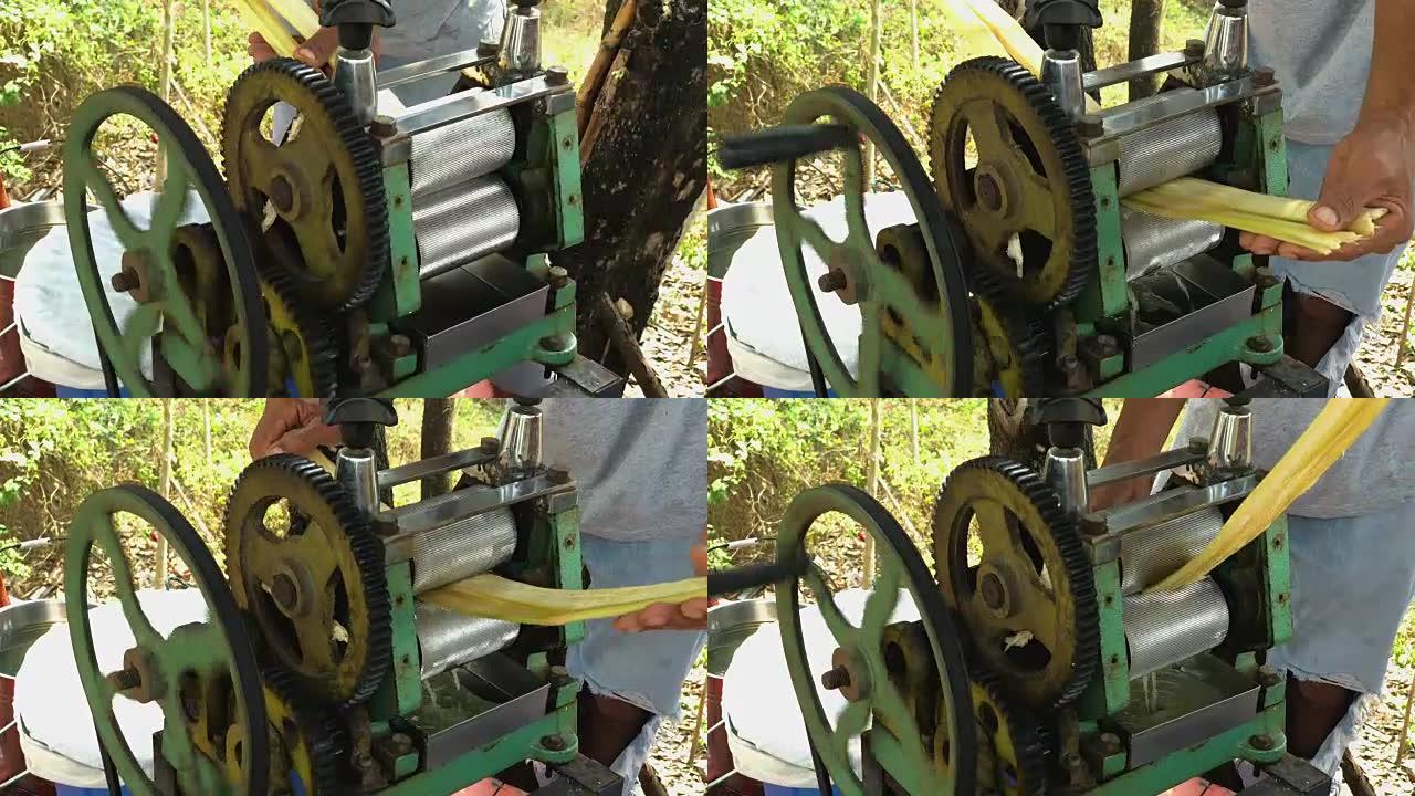 甘蔗榨汁机，生甘蔗用旧技术压榨机加工，从甘蔗茎中提取汁液。