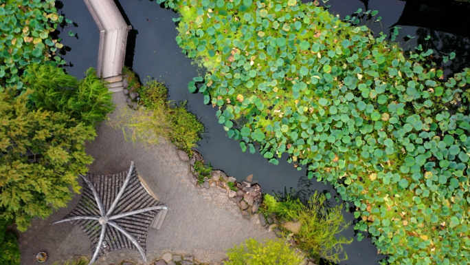 【原创】中式园林古建筑写意园林 苏州园林