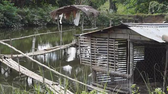 沼泽池中间的竹屋和竹脚桥