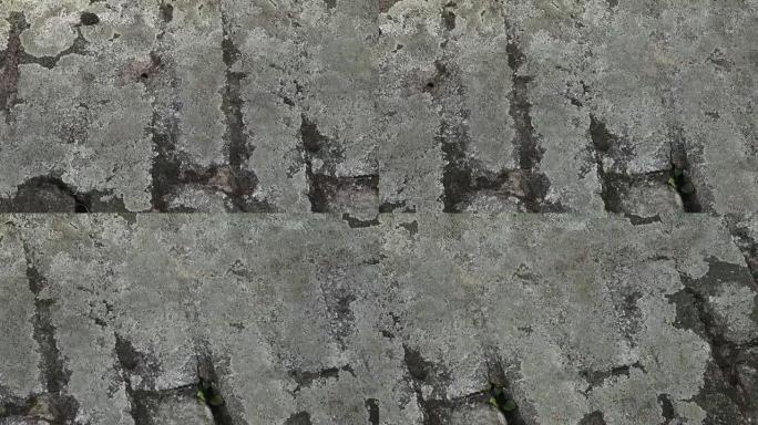 Grey stone covered by lichen. Close-up of stone co