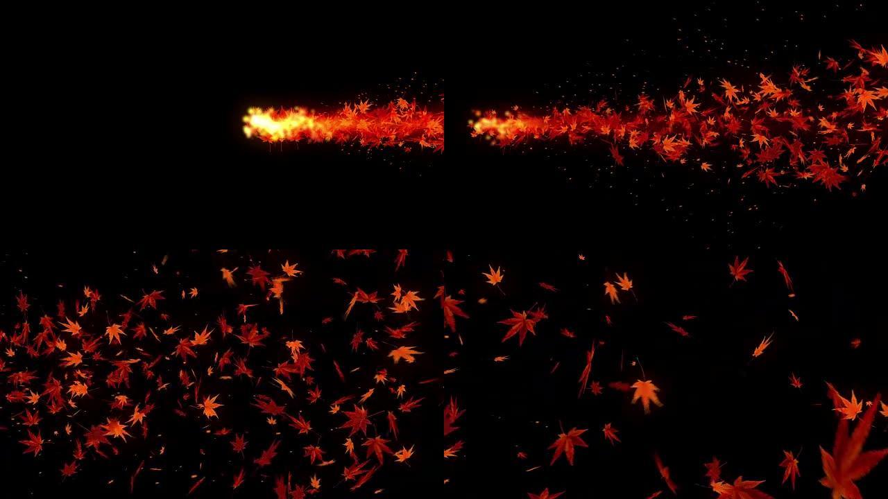 秋叶的旋转，枫树，CG动画