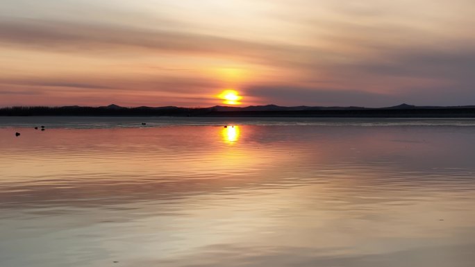 夕阳水面水鸟晚霞