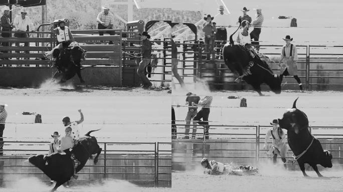 犹他州公牛竞技表演