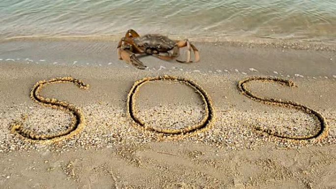 螃蟹和沙滩上的铭文。