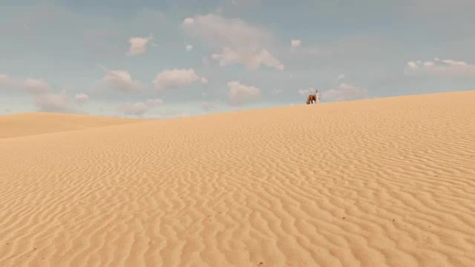 沙质沙漠中的阿拉伯人和红马