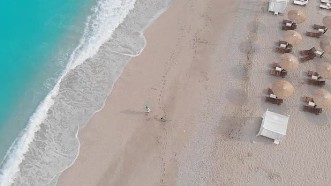 女人在海滩上与她的藏狗玩耍，空中无人机
