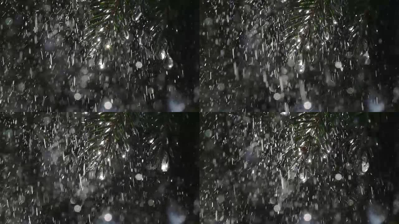 大雨落在冷杉树枝上，冰柱闪闪发光。