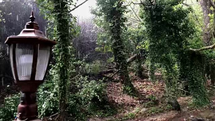 雨滴落在路灯上