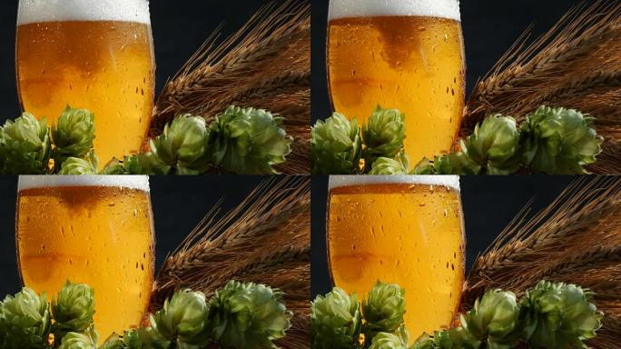 啤酒杯配麦芽和啤酒花。把啤酒倒进杯子里。