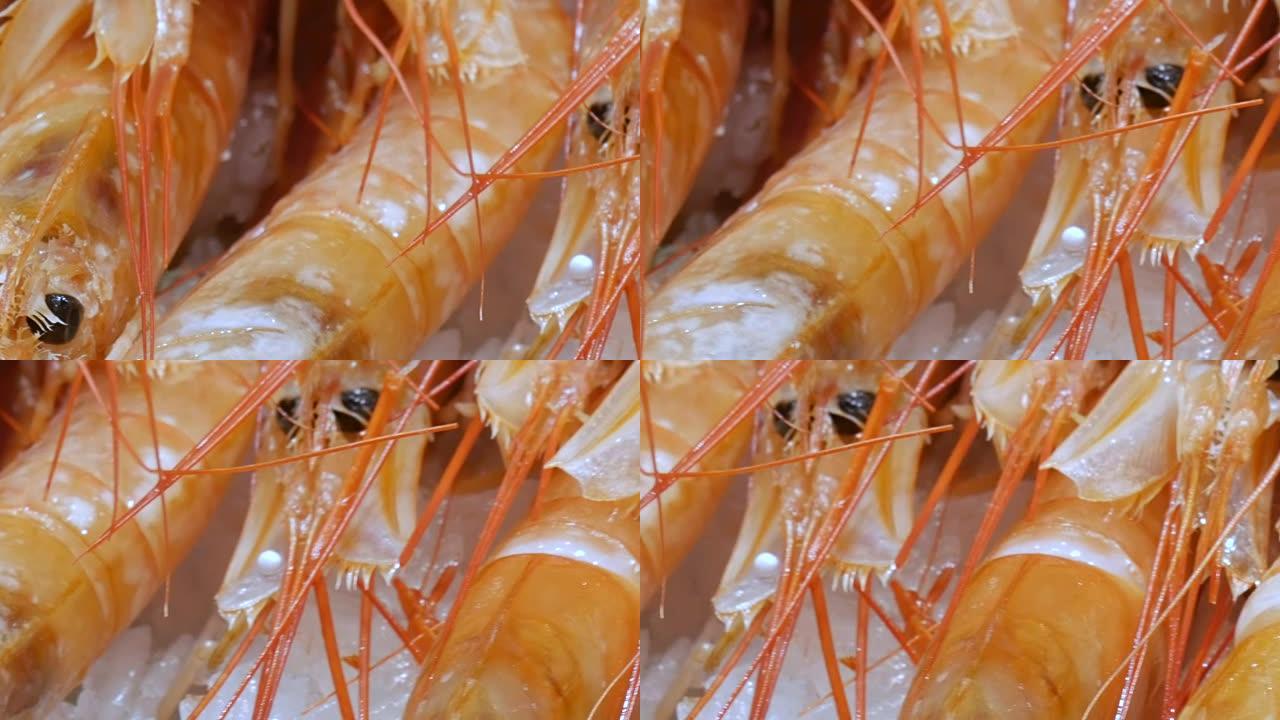 柜台市场上的海鲜虾小龙虾蟹，巴塞罗那La Boqueria市场上的海鲜特写