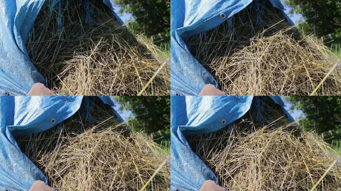 夏天，一堆稻草或干草在露天覆盖着蓝色聚乙烯