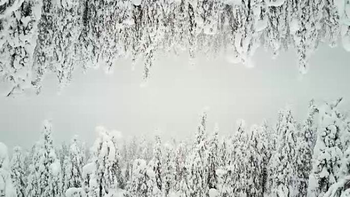雪地里的森林是两个世界。字幕屏幕保护程序。