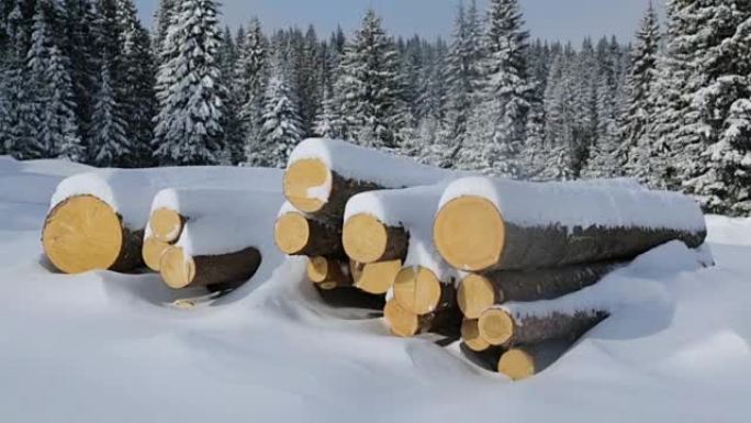 冬季森林中的大量原木