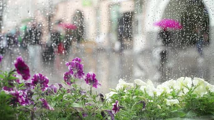 城市街道的雨天。雨中带着雨伞的人群沿着潮湿闪亮的人行道上下班。水坑中反映的人的轮廓。概念秋夏雨在模糊