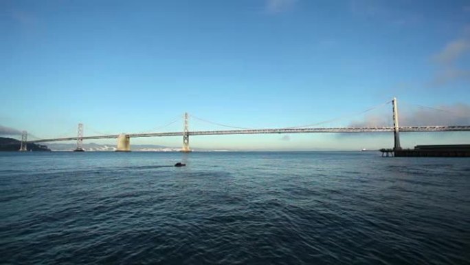 海湾大桥跨度