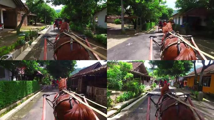 从印度尼西亚爪哇乘马车穿越乡村