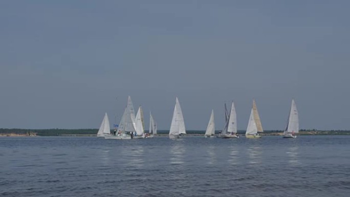 伏尔加河上的帆船赛