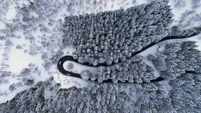 在山区冬季白雪覆盖的森林中，在发夹弯转弯路上行驶的汽车的俯视图。白松树林。白雪街道道路建立。4k无人