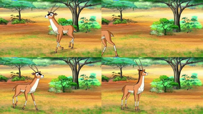 羚羊或瞪羚来了又停