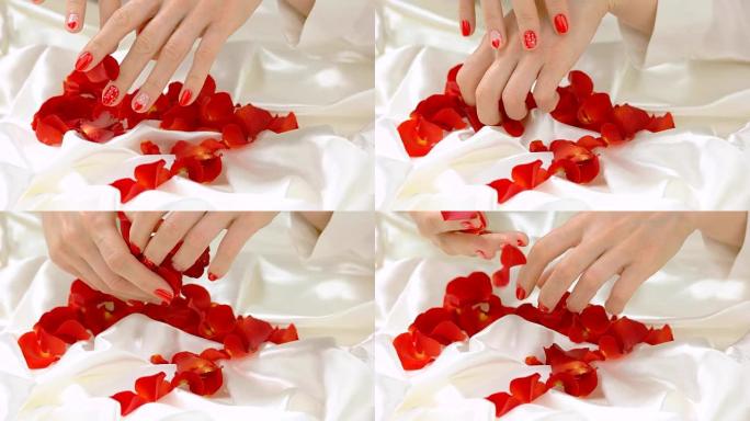 白丝上的雌性手和玫瑰花瓣。