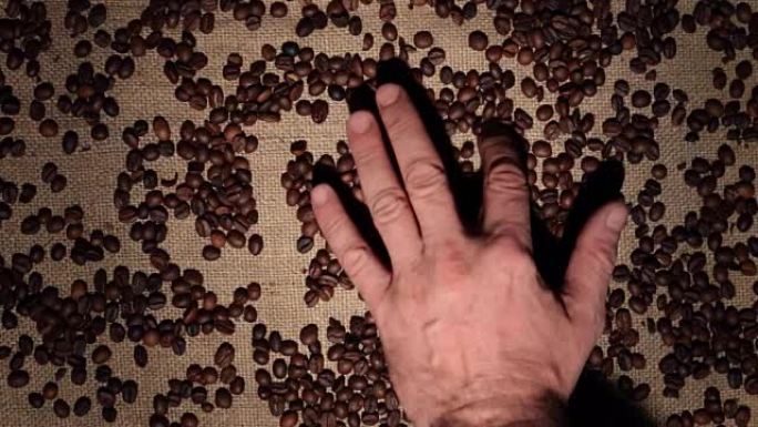 男士手工清洁咖啡豆在粗麻布上制作豆子框架