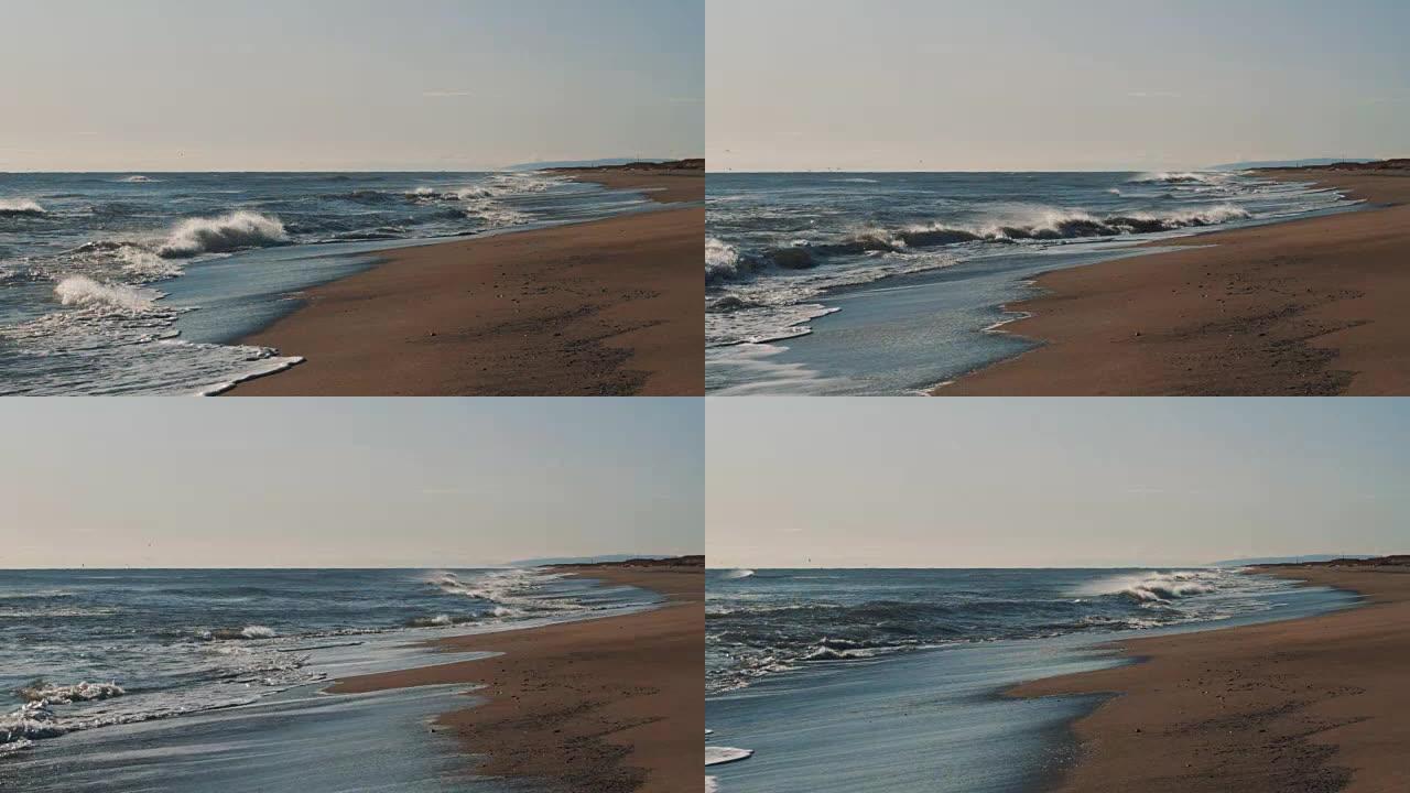 海水的沙质海岸。波浪白色泡沫，海鸥飞过
