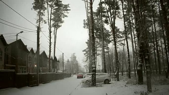 在一片荒芜的松树林中，大雪下的汽车和三栋房屋