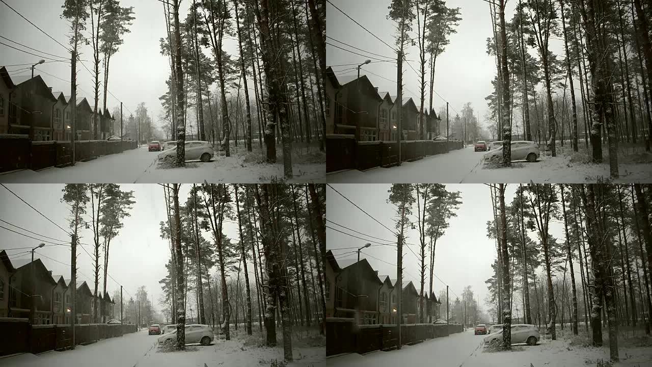 在一片荒芜的松树林中，大雪下的汽车和三栋房屋